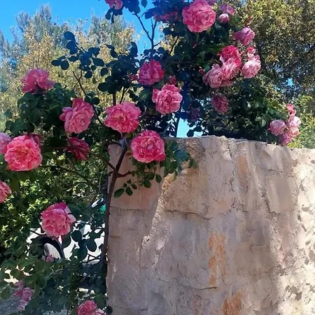 Il Trullo Delle Rose Ferienhaus
