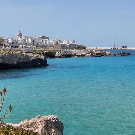 Il Trullo Delle Rose 別荘 *